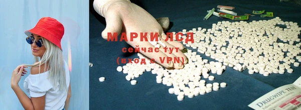spice Зерноград