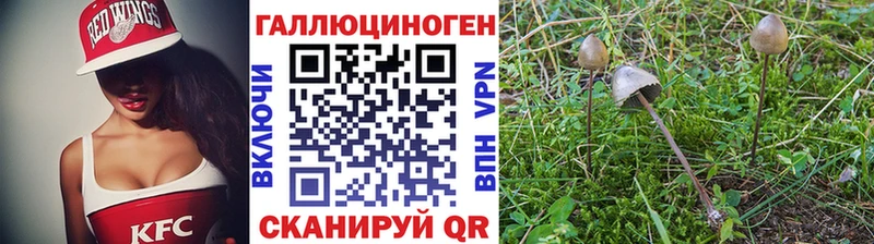Псилоцибиновые грибы Cubensis  даркнет сайт  Харовск 